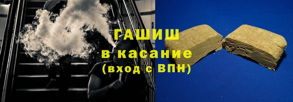 сатива Кирсанов